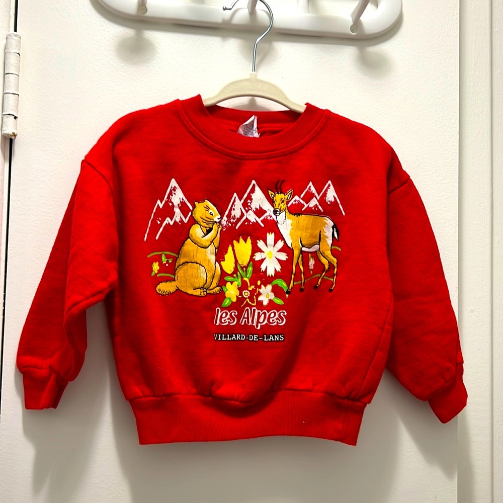 🔅4 for $35🔅 Vintage les Alpes Toddler sweatshirt